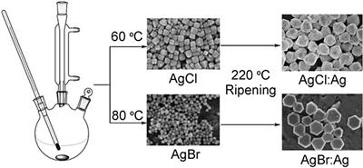 Advances in CO2 utilization employing anisotropic nanomaterials as catalysts: a review
